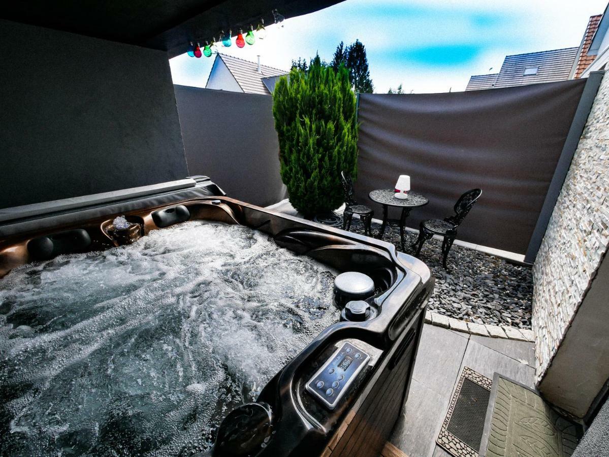 Gites Spa Strasbourg - Studio Romantique, Jacuzzi, Sauna, Terrasse Privee Furdenheim エクステリア 写真